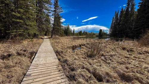 23-5227 Township Road 320, Rural Mountain View County, AB 