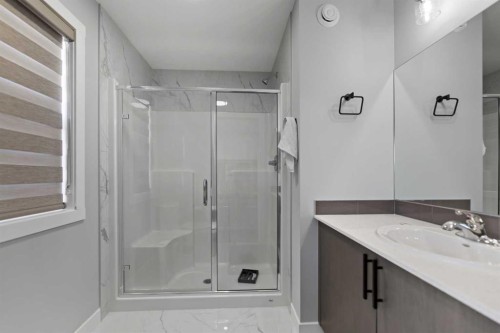 123 Corner Glen Drive Ne, Calgary, AB - Indoor Photo Showing Bathroom