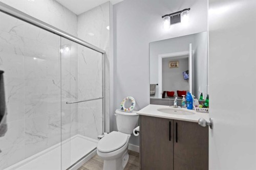 123 Corner Glen Drive Ne, Calgary, AB - Indoor Photo Showing Bathroom