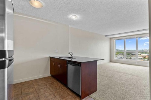 903-8710 Horton Road Sw, Calgary, AB - Indoor Photo Showing Kitchen With Stainless Steel Kitchen With Double Sink