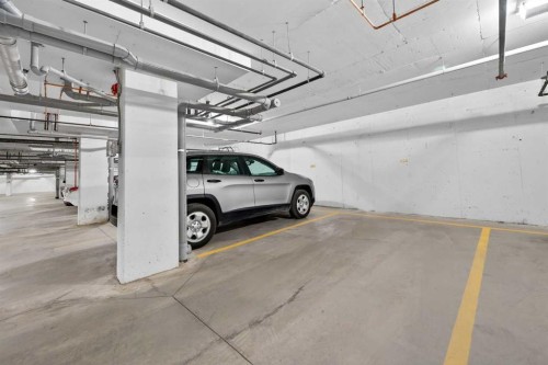 3208-20295 Seton Way Se, Calgary, AB - Indoor Photo Showing Garage