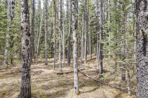 41 Elk Valley Crescent, Bragg Creek, AB - Outdoor With View