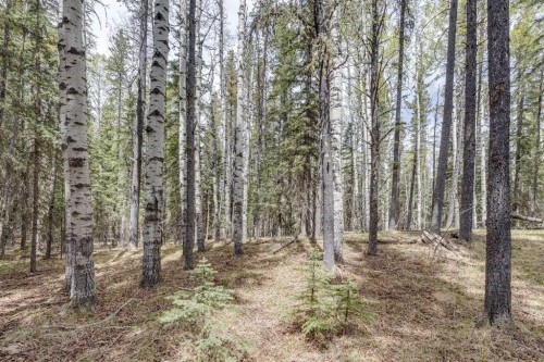 41 Elk Valley Crescent, Bragg Creek, AB - Outdoor With View