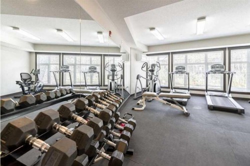 216-35 Aspenmont Heights Sw, Calgary, AB - Indoor Photo Showing Gym Room