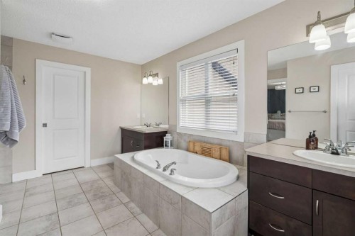45 Mahogany Terrace Se, Calgary, AB - Indoor Photo Showing Bathroom