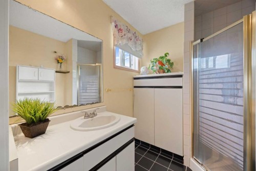 452 Manora Way Ne, Calgary, AB - Indoor Photo Showing Bathroom