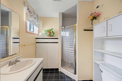 452 Manora Way Ne, Calgary, AB - Indoor Photo Showing Bathroom