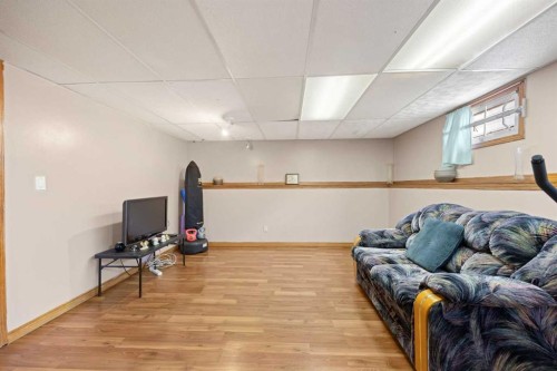 452 Manora Way Ne, Calgary, AB - Indoor Photo Showing Basement