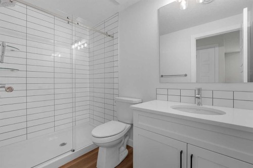 568 Buffaloberry Manor Se, Calgary, AB - Indoor Photo Showing Bathroom