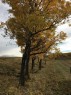 96 Street West, Rural Foothills County, AB 