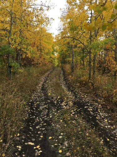 96 Street West, Rural Foothills County, AB 