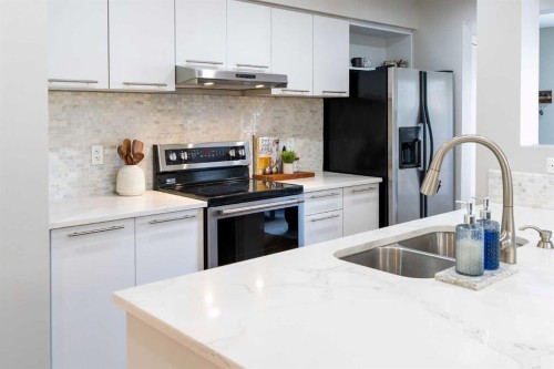 24 Copperpond Road Se, Calgary, AB - Indoor Photo Showing Kitchen With Double Sink With Upgraded Kitchen