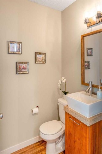 24 Copperpond Road Se, Calgary, AB - Indoor Photo Showing Bathroom