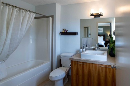 24 Copperpond Road Se, Calgary, AB - Indoor Photo Showing Bathroom