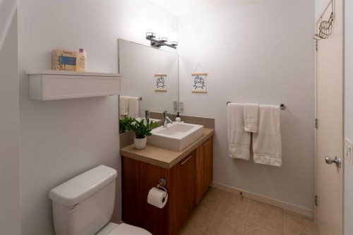 24 Copperpond Road Se, Calgary, AB - Indoor Photo Showing Bathroom
