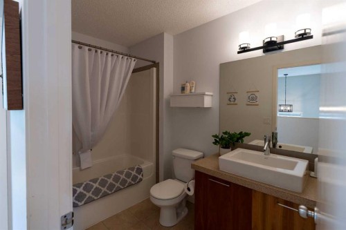 24 Copperpond Road Se, Calgary, AB - Indoor Photo Showing Bathroom
