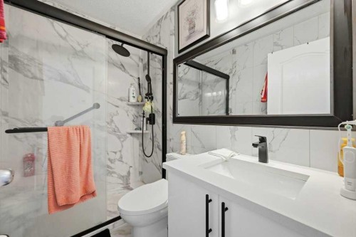 141 Martin Crossing Crescent Ne, Calgary, AB - Indoor Photo Showing Bathroom