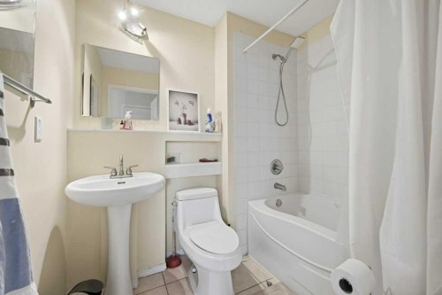 141 Martin Crossing Crescent Ne, Calgary, AB - Indoor Photo Showing Bathroom