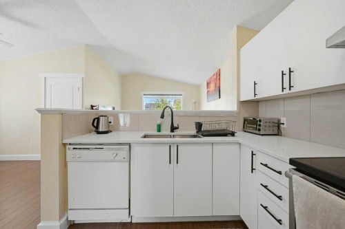 141 Martin Crossing Crescent Ne, Calgary, AB - Indoor Photo Showing Kitchen With Double Sink