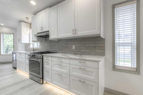 81 Coventry Circle Ne, Calgary, AB - Indoor Photo Showing Kitchen With Upgraded Kitchen