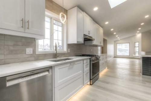 81 Coventry Circle Ne, Calgary, AB - Indoor Photo Showing Kitchen With Double Sink With Upgraded Kitchen