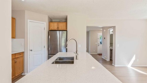 23 Taralake Road Ne, Calgary, AB - Indoor Photo Showing Kitchen With Double Sink