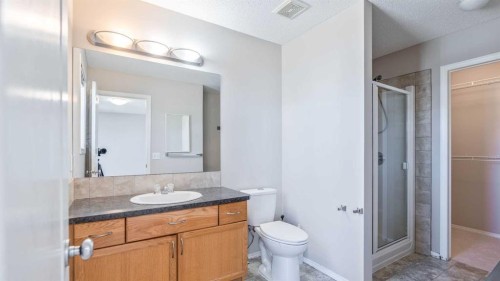 23 Taralake Road Ne, Calgary, AB - Indoor Photo Showing Bathroom