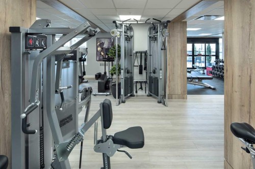 406-255 Les Jardins Park Se, Calgary, AB - Indoor Photo Showing Gym Room