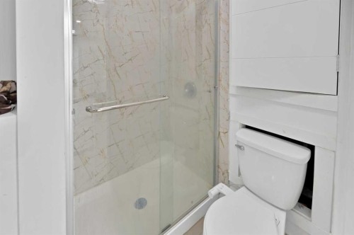 100 San Diego Green Ne, Calgary, AB - Indoor Photo Showing Bathroom