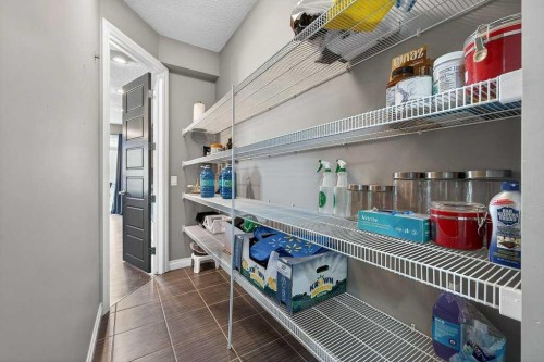 76 Rainbow Falls Boulevard, Chestermere, AB - Indoor