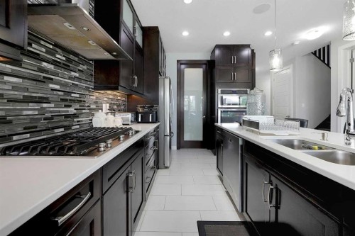 98 Red Sky Green Ne, Calgary, AB - Indoor Photo Showing Kitchen With Double Sink With Upgraded Kitchen