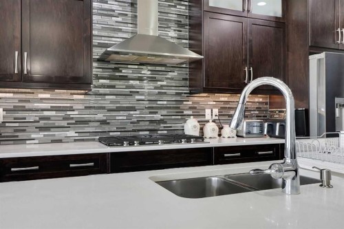 98 Red Sky Green Ne, Calgary, AB - Indoor Photo Showing Kitchen With Double Sink With Upgraded Kitchen