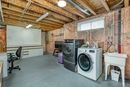 31-8 Riverview Circle, Cochrane, AB - Indoor Photo Showing Laundry Room