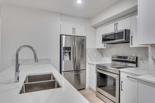 52 Saddlecreek Terrace Ne, Calgary, AB - Indoor Photo Showing Kitchen With Stainless Steel Kitchen With Double Sink With Upgraded Kitchen
