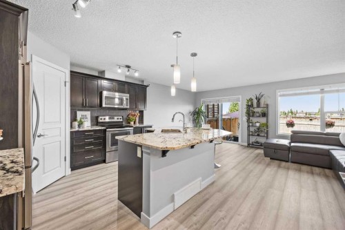 249 Auburn Meadows Place Se, Calgary, AB - Indoor Photo Showing Kitchen With Upgraded Kitchen