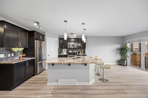249 Auburn Meadows Place Se, Calgary, AB - Indoor Photo Showing Kitchen With Stainless Steel Kitchen With Upgraded Kitchen