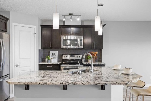 249 Auburn Meadows Place Se, Calgary, AB - Indoor Photo Showing Kitchen With Stainless Steel Kitchen With Double Sink With Upgraded Kitchen