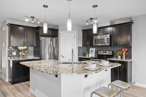 249 Auburn Meadows Place Se, Calgary, AB - Indoor Photo Showing Kitchen With Stainless Steel Kitchen With Upgraded Kitchen