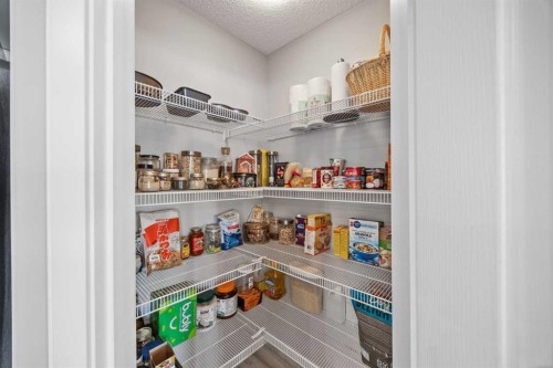 249 Auburn Meadows Place Se, Calgary, AB - Indoor With Storage