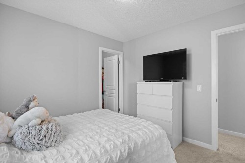249 Auburn Meadows Place Se, Calgary, AB - Indoor Photo Showing Bedroom