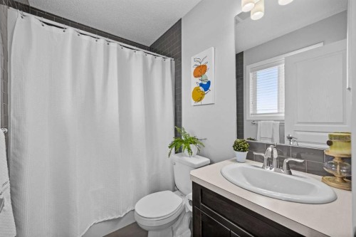 249 Auburn Meadows Place Se, Calgary, AB - Indoor Photo Showing Bathroom