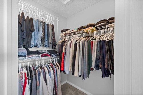 249 Auburn Meadows Place Se, Calgary, AB - Indoor With Storage