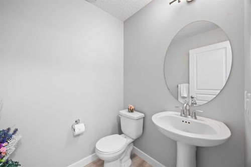 249 Auburn Meadows Place Se, Calgary, AB - Indoor Photo Showing Bathroom