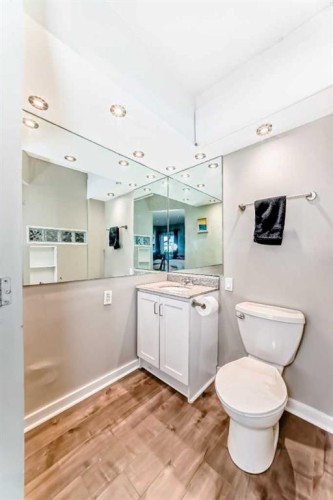 208-1305 Glenmore Trail Sw, Calgary, AB - Indoor Photo Showing Bathroom