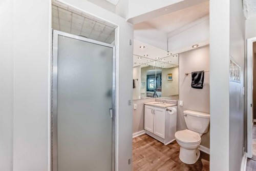 208-1305 Glenmore Trail Sw, Calgary, AB - Indoor Photo Showing Bathroom