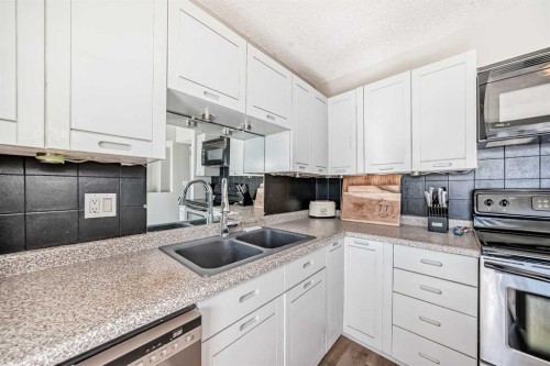 208-1305 Glenmore Trail Sw, Calgary, AB - Indoor Photo Showing Kitchen With Double Sink
