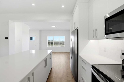 9993 Huxbury Drive Ne, Calgary, AB - Indoor Photo Showing Kitchen With Stainless Steel Kitchen