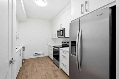 9993 Huxbury Drive Ne, Calgary, AB - Indoor Photo Showing Kitchen With Stainless Steel Kitchen