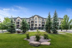 3405-310 Mckenzie Towne Gate SE Calgary, AB T2Z 1J4