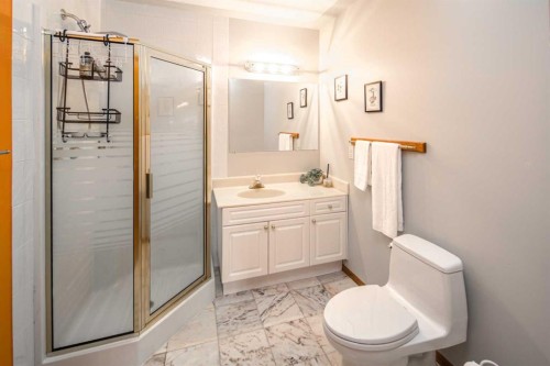 37 Arbour Summit Close Nw, Calgary, AB - Indoor Photo Showing Bathroom